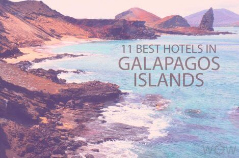 Los 11 Mejores Hoteles En Las Islas Galápagos