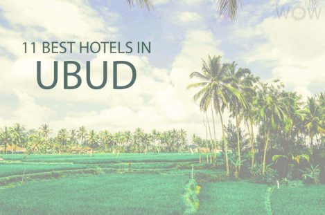 11 Best Hotels In Ubud