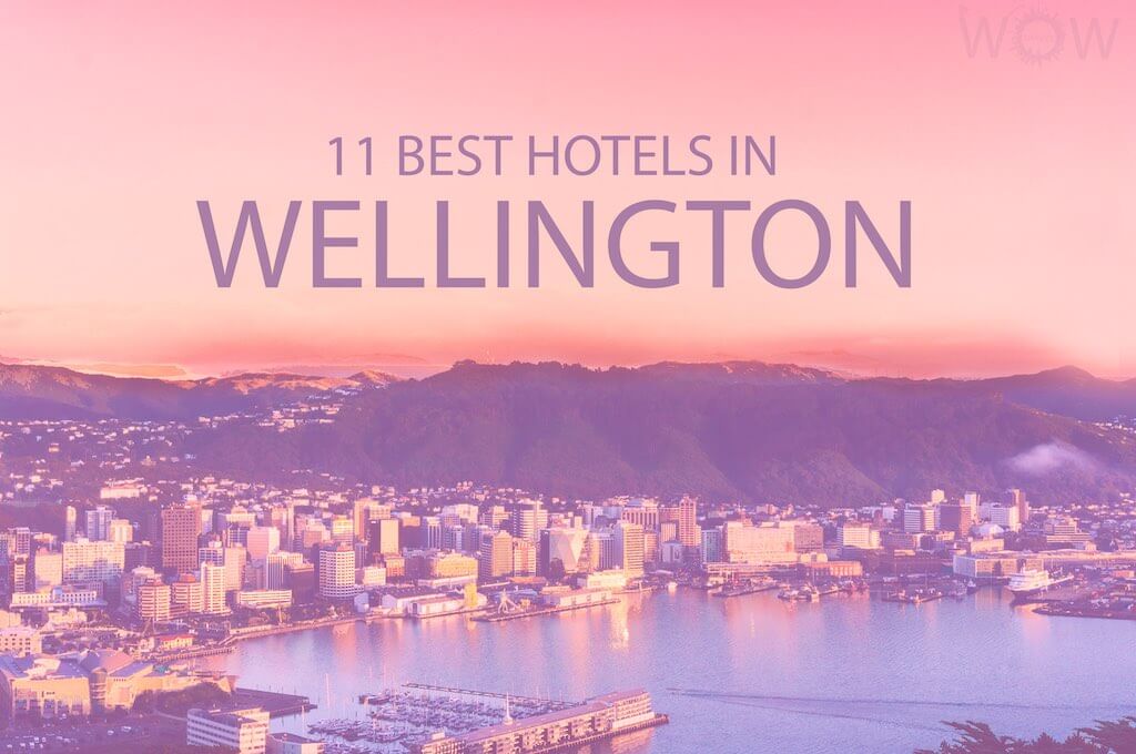 11 Best Hotels in Wellington