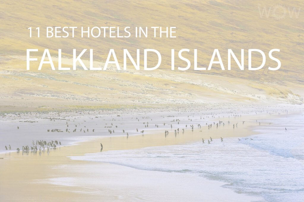 11 Best Hotels in the Falkland Islands
