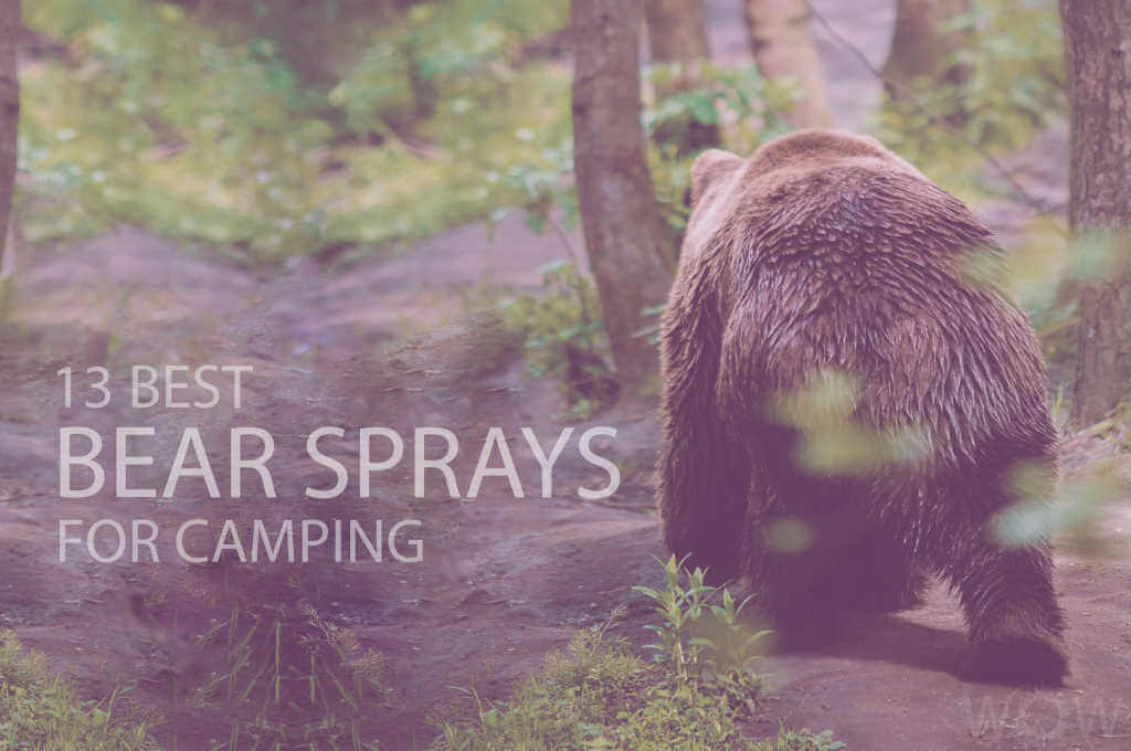 13 Best Bear Sprays for Camping