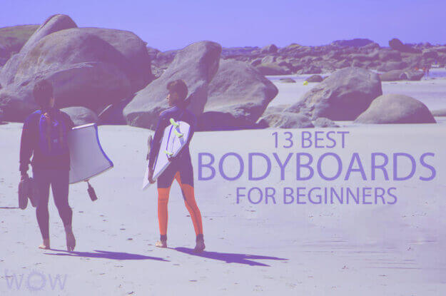 13 Best Bodyboards for Beginners