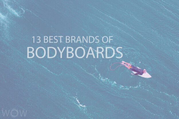 13 Best Brands of Bodyboards
