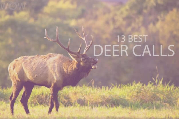13 Best Deer Calls