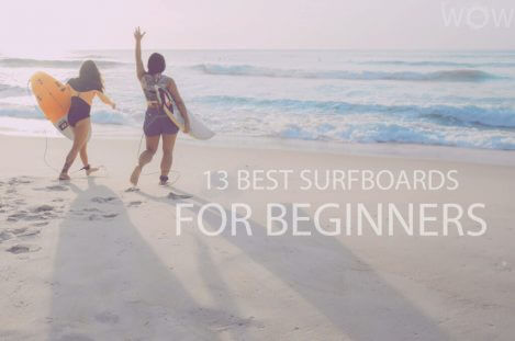 13 Best Surfboards for Beginners