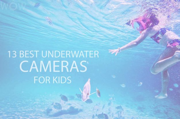 13 Best Underwater Cameras for Kids