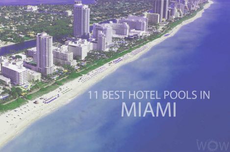 11 Best Hotel Pools In Miami