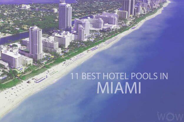 11 Best Hotel Pools In Miami