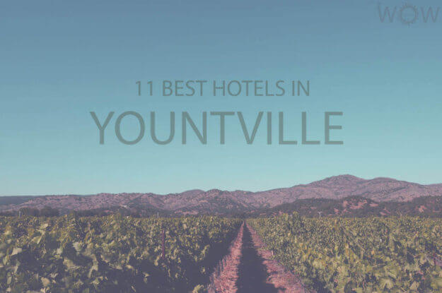 11 Best Hotels in Yountville, California