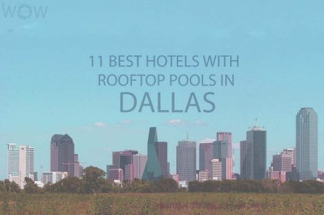 11 Best Hotels with Rooftop Pools In Dallas