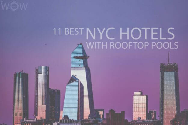 11 Best NYC Hotels With Rooftop Pools