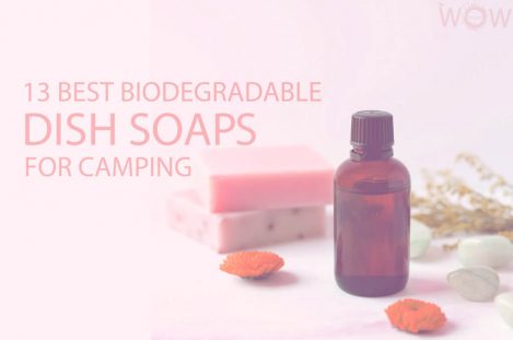 13 Best Biodegradable Dish Soaps for Camping