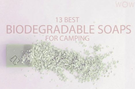 13 Best Biodegradable Soaps for Camping