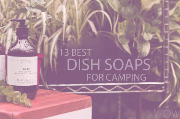 13 Best Dish Soaps for Camping