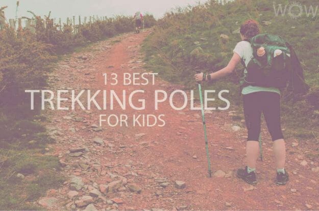 13 Best Trekking Poles for Kids
