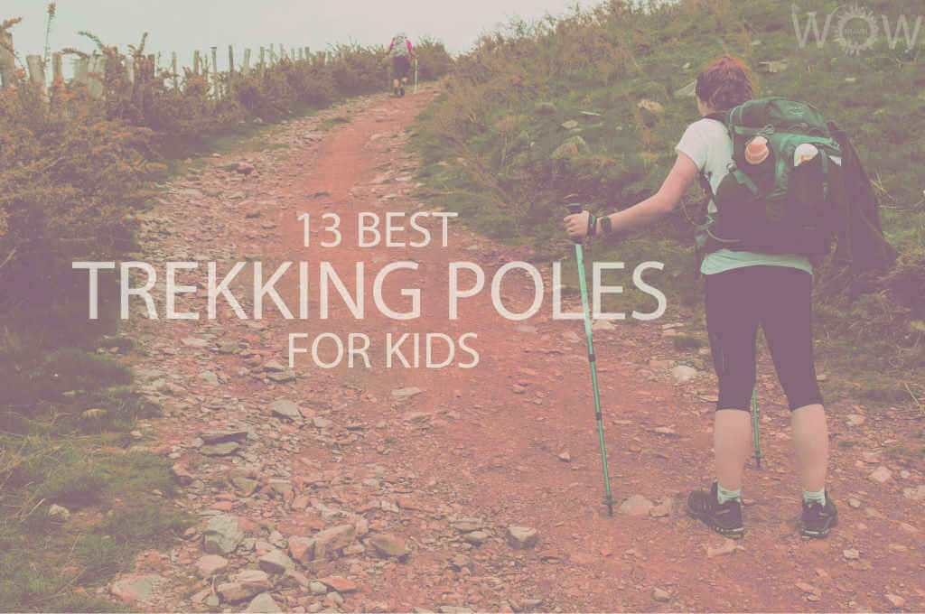 best trekking poles for women