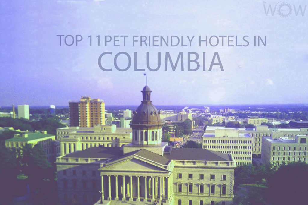 Top 11 Pet Friendly Hotels In Columbia SC
