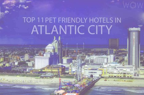 Top 11 Pet Friendly Hotels in Atlantic City