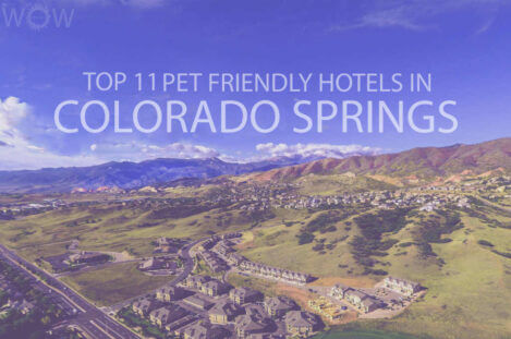 Top 11 Pet Friendly Hotels in Colorado Springs