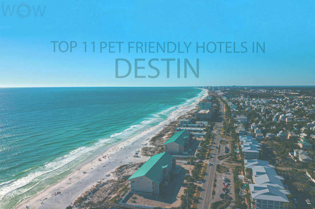 Top 11 Pet Friendly Hotels in Destin