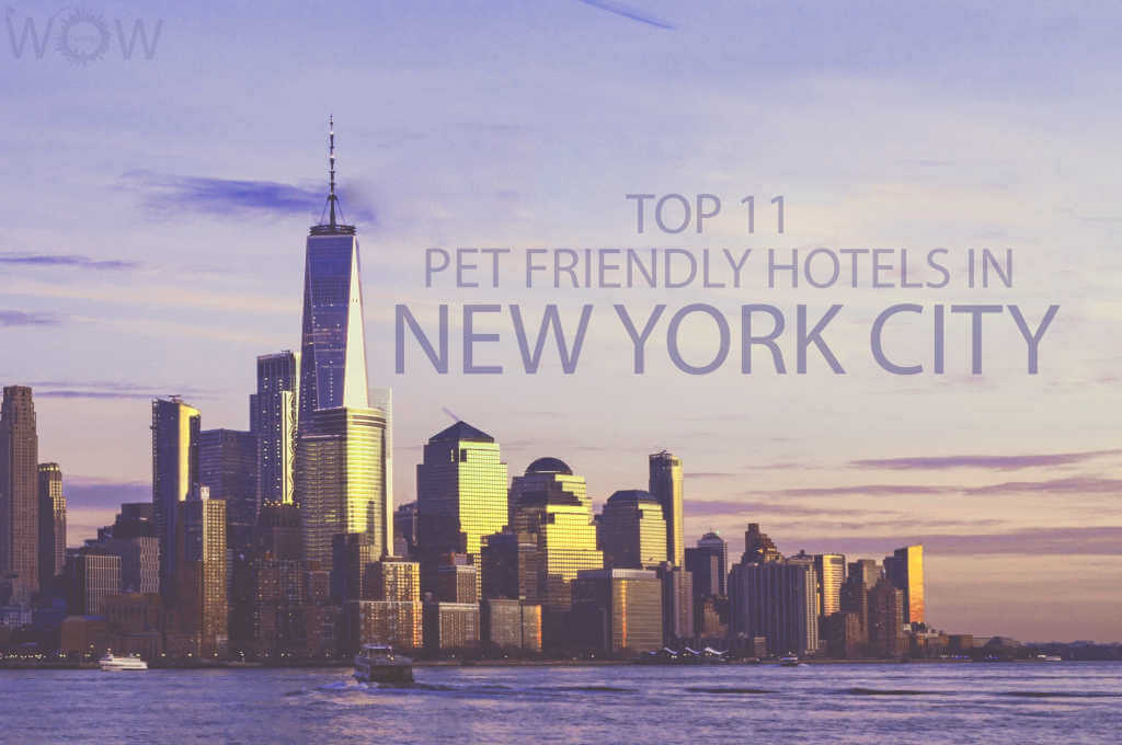 Top 11 Pet Friendly Hotels in New York City