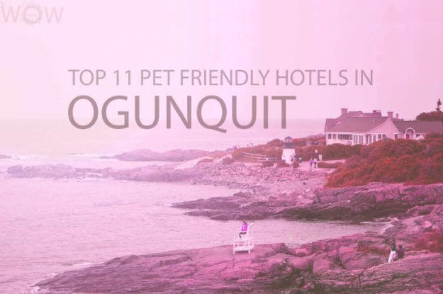 Top 11 Pet Friendly Hotels in Ogunquit Maine