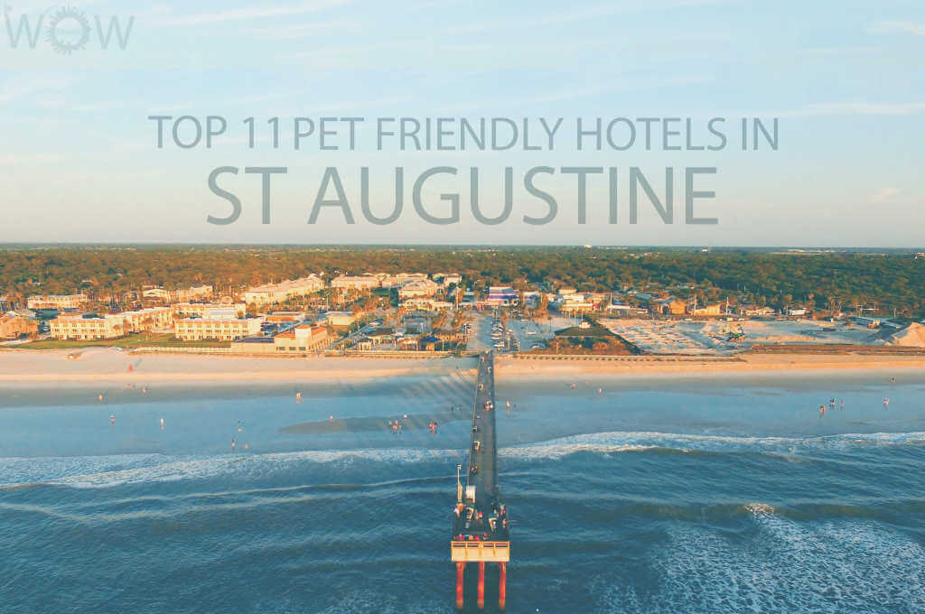 Top 11 Pet Friendly Hotels in St Augustine