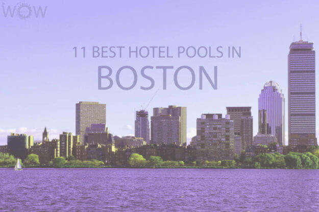 11 Best Hotel Pools In Boston