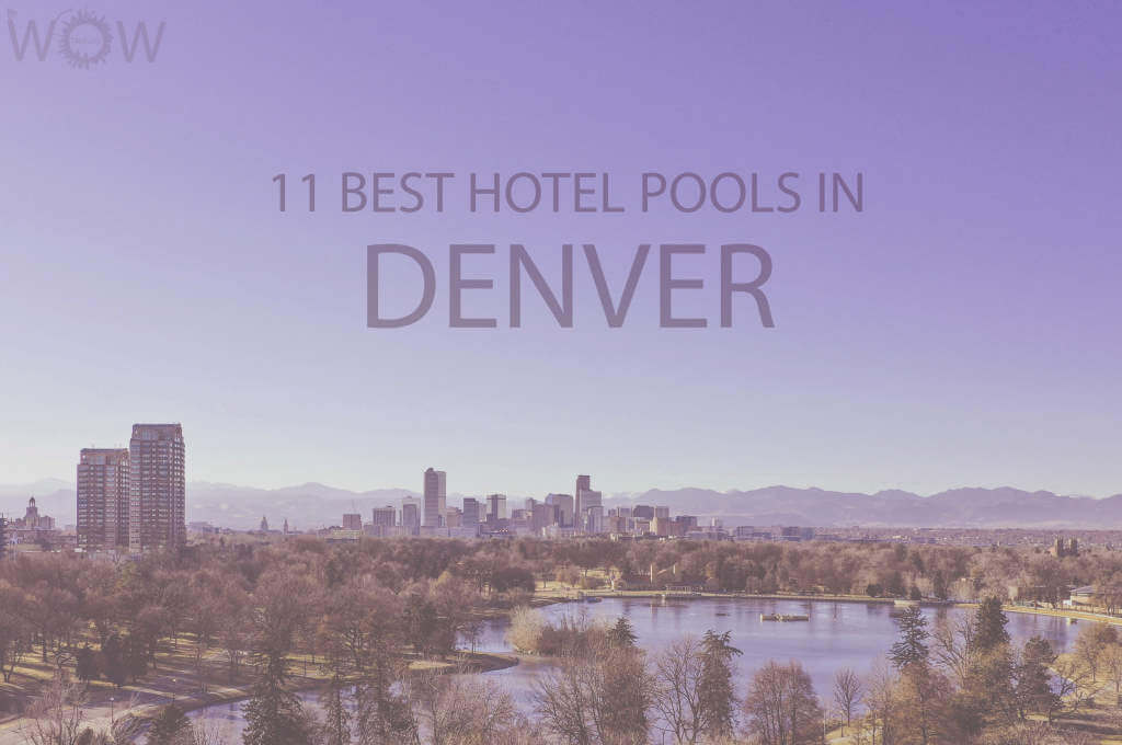 11 Best Hotel Pools In Denver