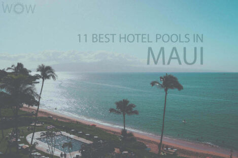 11 Best Hotel Pools In Maui