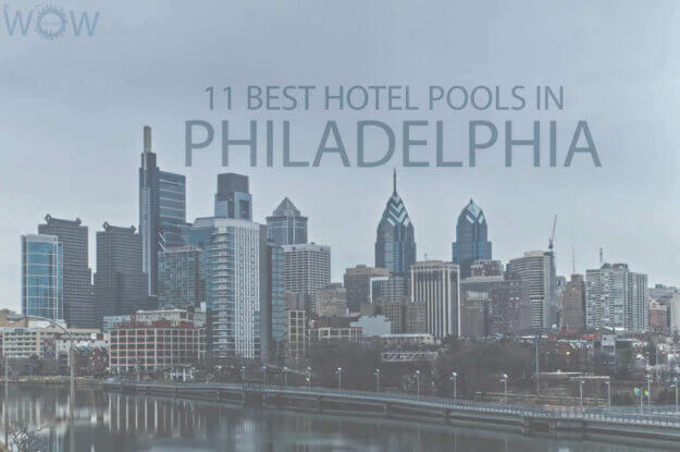 11 Best Hotel Pools In Philadelphia