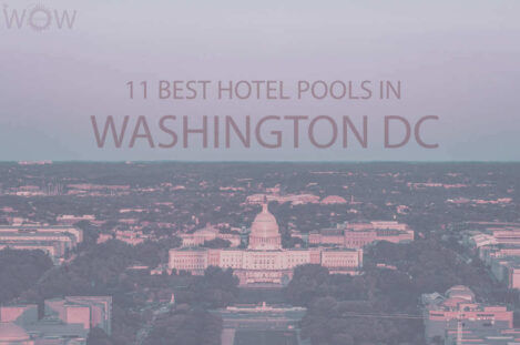 11 Best Hotel Pools In Washington DC