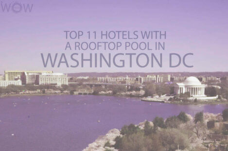 Top 11 Hotels With A Rooftop Pool In Washington DC