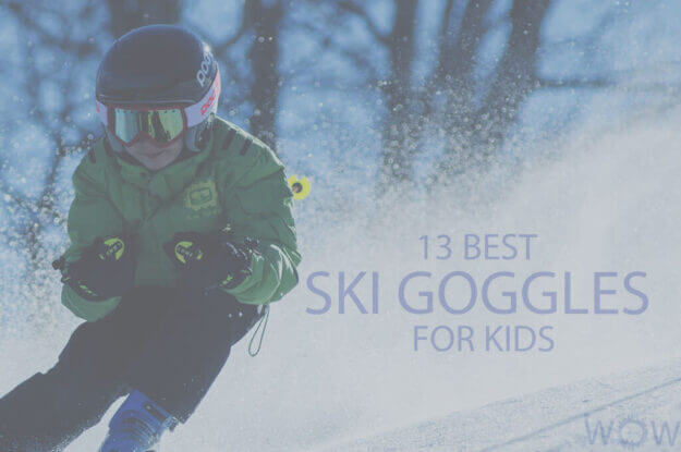 13 Best Ski Goggles for Kids