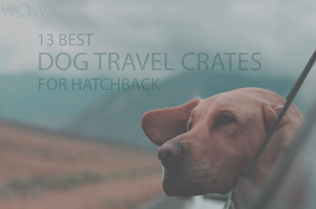 13 Best Dog Travel Crates for Hatchback