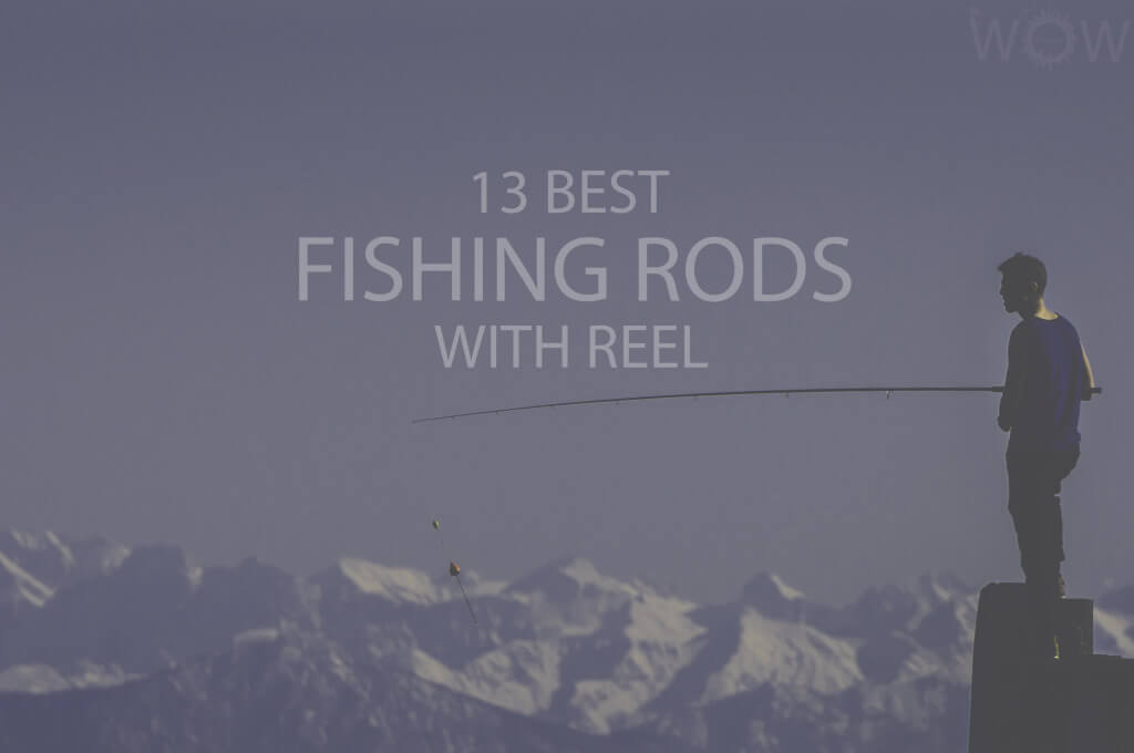 13 Best Fishing Rods with Reel