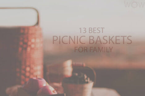13 Best Picnic Baskets for Family