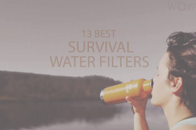 13 Best Survival Water Filters