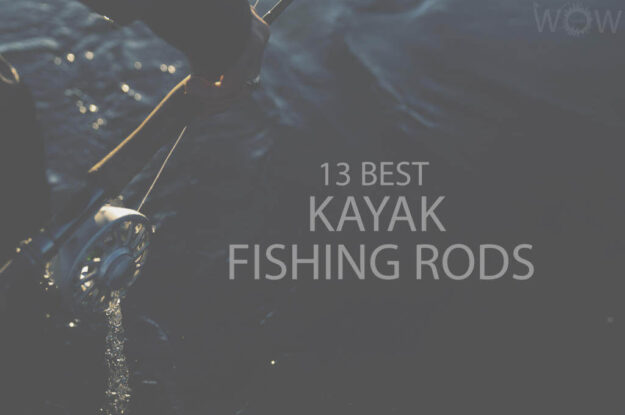 13 Best Kayak Fishing Rods