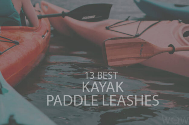 13 Best Kayak Paddle Leashes