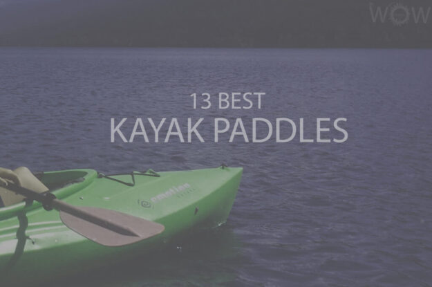 13 Best Kayak Paddles