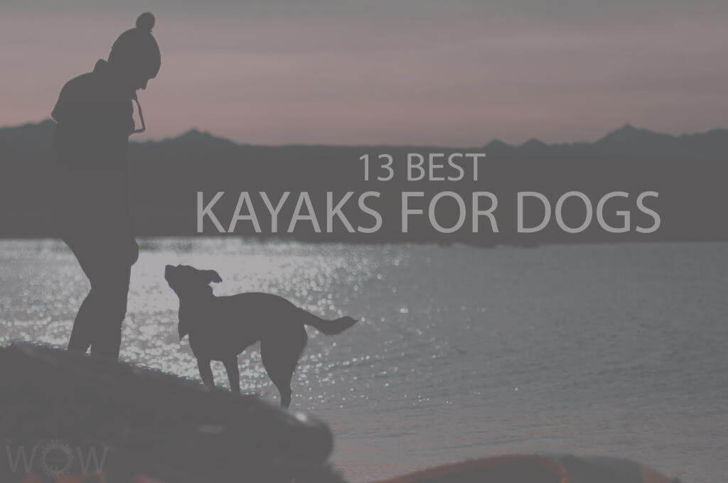13 Best Kayaks for Dogs