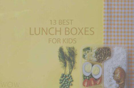 13 Best Lunch Boxes For Kids