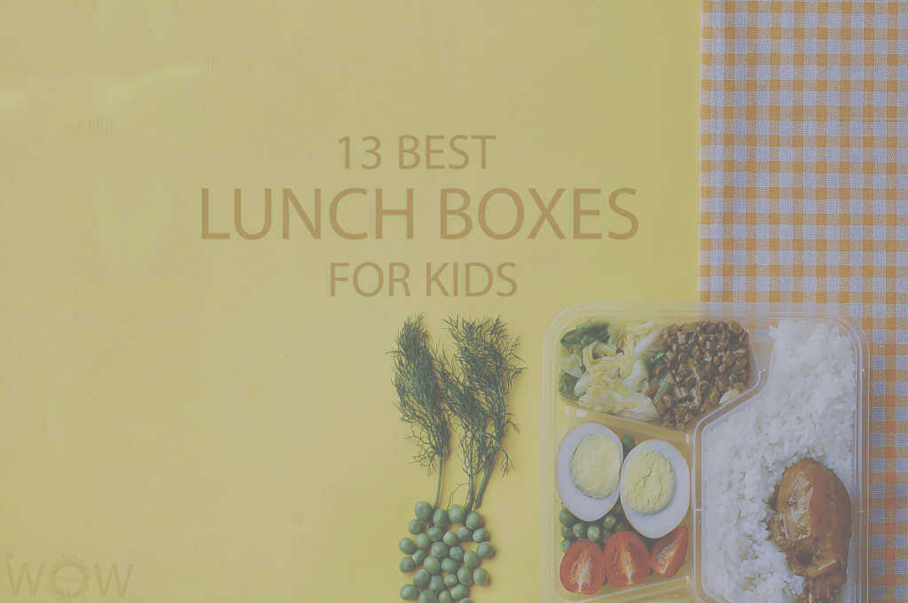 13 Best Lunch Boxes For Kids