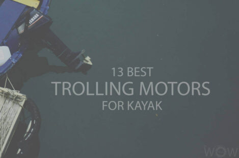 13 Best Trolling Motors For Kayak