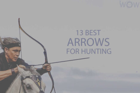 13 Best Arrows For Hunting