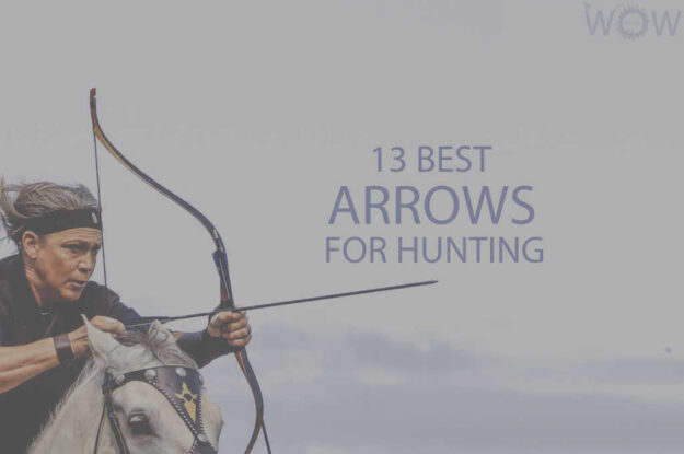 13 Best Arrows For Hunting