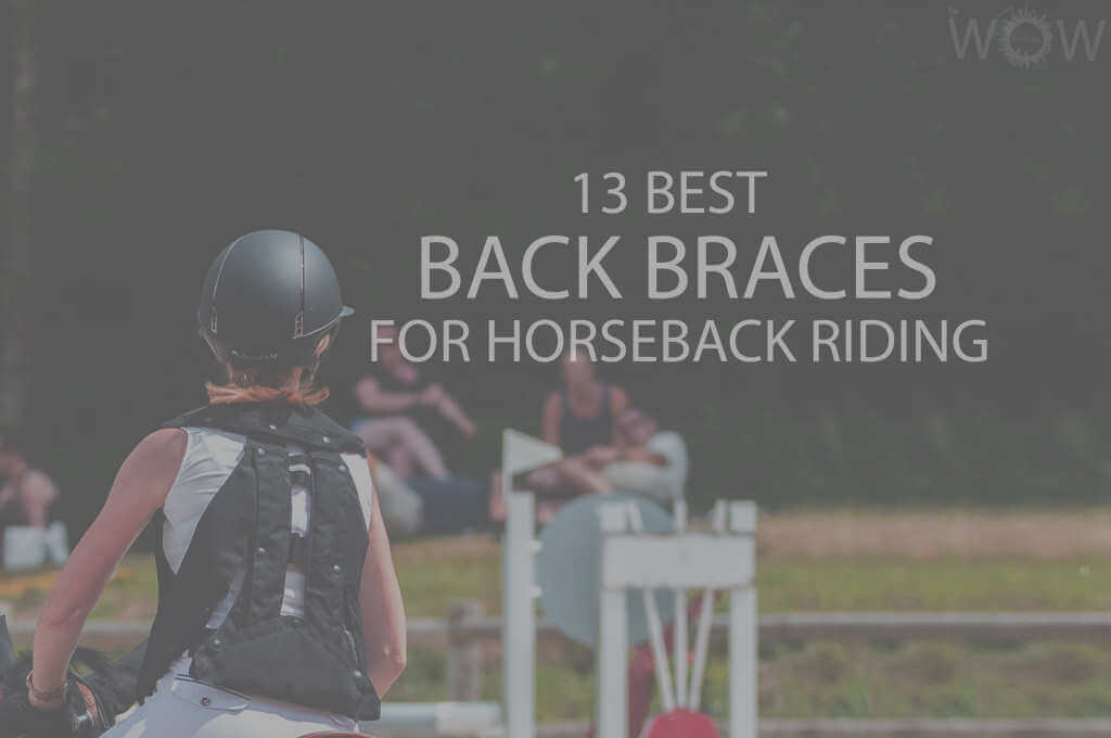 13 Best Back Braces for Horseback Riding