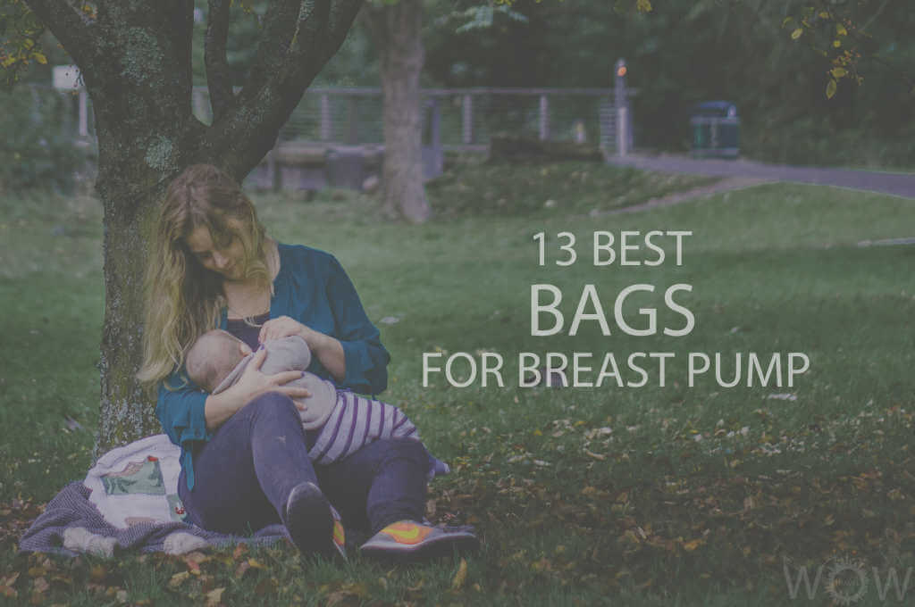 13 Best Bags For Breast Pump