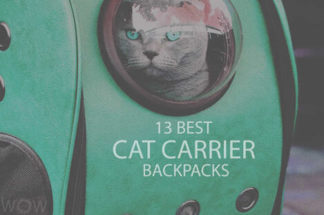 13 Best Cat Carrier Backpacks